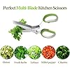 🌿 2025 Upgraded Herb Scissors – Chop Herbs in Seconds, Like a Pro! / 🌿 مقص الأعشاب المطور لعام 2025 – قطّع الأعشاب في ثوانٍ مثل المحترفين