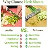 🌿 2025 Upgraded Herb Scissors – Chop Herbs in Seconds, Like a Pro! / 🌿 مقص الأعشاب المطور لعام 2025 – قطّع الأعشاب في ثوانٍ مثل المحترفين