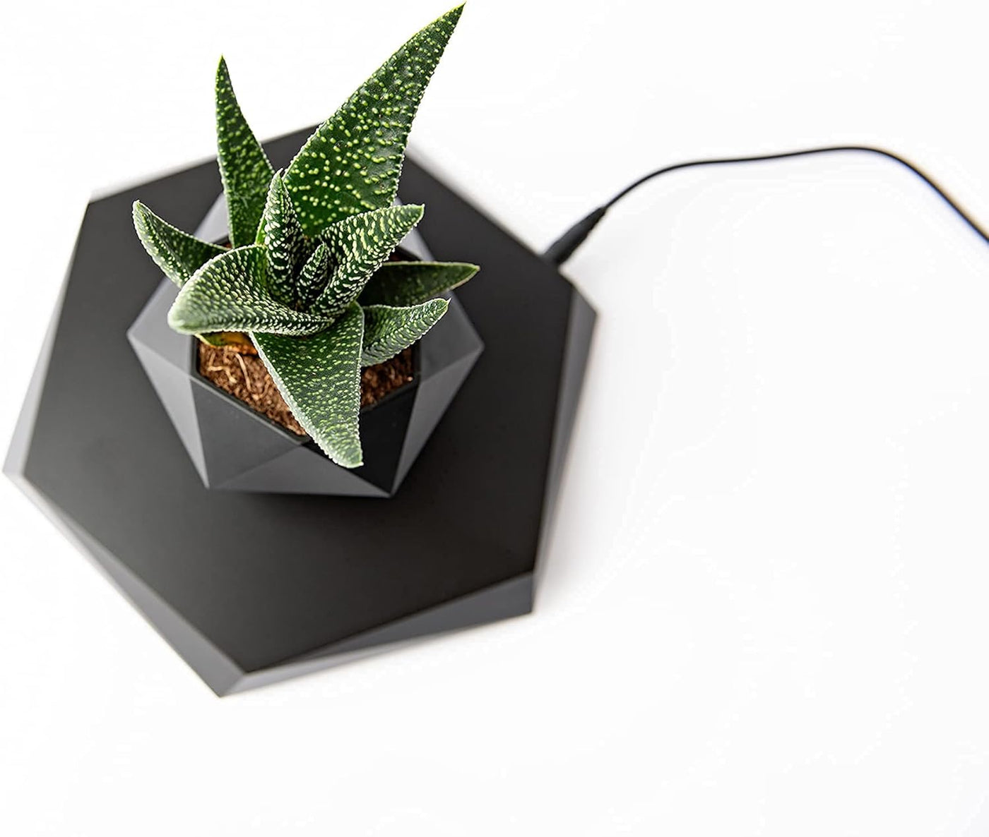 Floating Pots for Plants / أصص نباتات عائمة