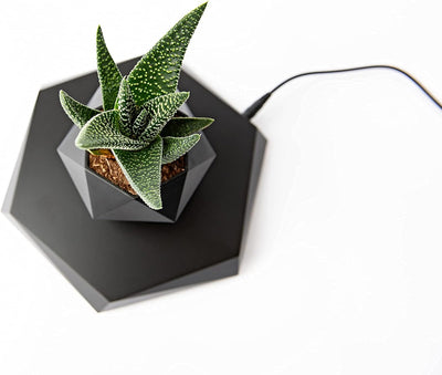 Floating Pots for Plants / أصص نباتات عائمة