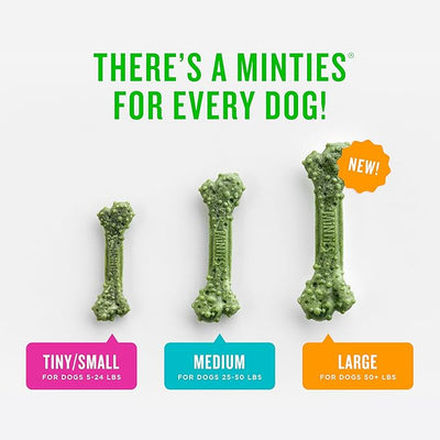 Minties Dental Chews for Dogs