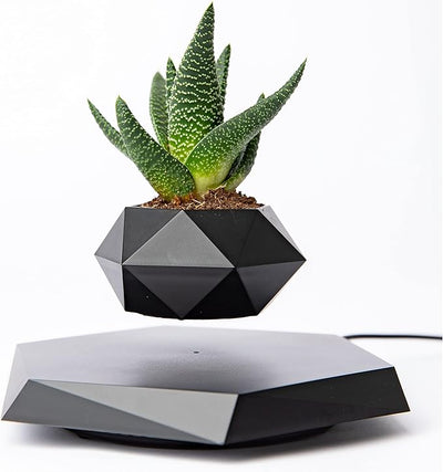 Floating Pots for Plants / أصص نباتات عائمة