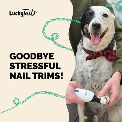LuckyTail Pet Nail Grinder for Dogs and Cats