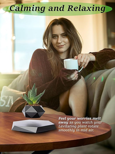 Floating Pots for Plants / أصص نباتات عائمة
