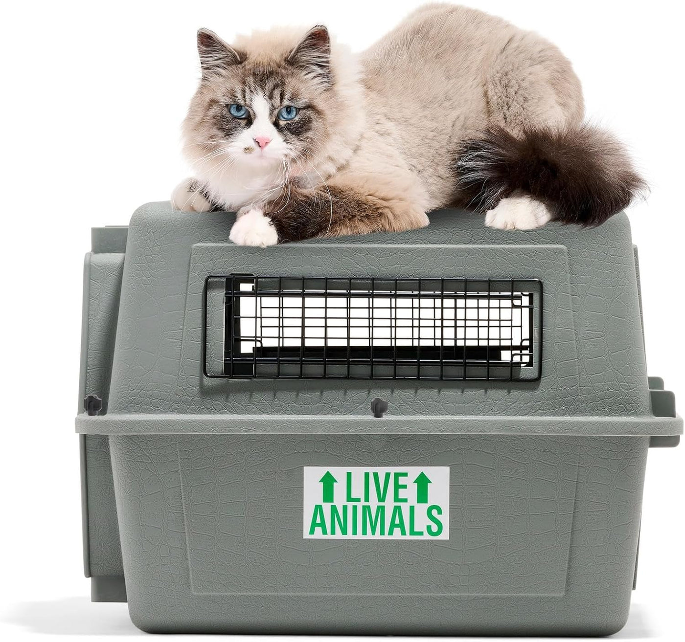 Petmate Sky Kennel - For Air and Travel