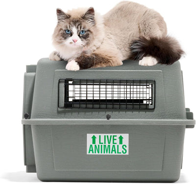 Petmate Sky Kennel - For Air and Travel
