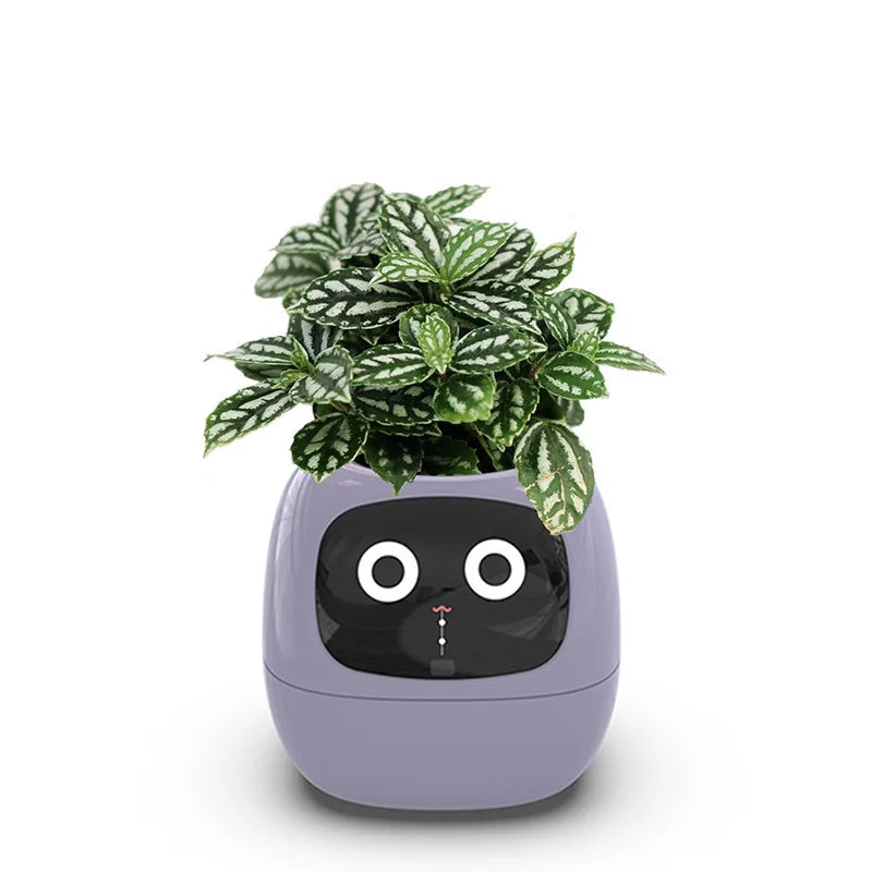 Ivy Smart Planter – AI-Powered with 49+ Expressions & 7 Smart Sensors / وعاء نباتات ذكي Ivy – مدعوم بالذكاء الاصطناعي مع أكثر من 49 تعبيرًا و7 مستشعرات ذكية