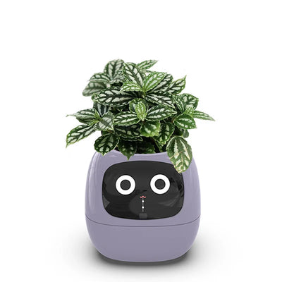 Ivy Smart Planter – AI-Powered with 49+ Expressions & 7 Smart Sensors / وعاء نباتات ذكي Ivy – مدعوم بالذكاء الاصطناعي مع أكثر من 49 تعبيرًا و7 مستشعرات ذكية