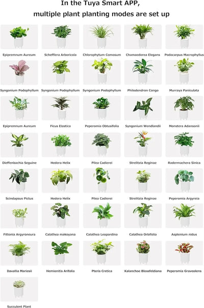 Ivy Smart Planter – AI-Powered with 49+ Expressions & 7 Smart Sensors / وعاء نباتات ذكي Ivy – مدعوم بالذكاء الاصطناعي مع أكثر من 49 تعبيرًا و7 مستشعرات ذكية