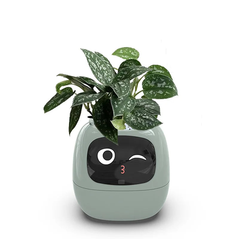 Ivy Smart Planter – AI-Powered with 49+ Expressions & 7 Smart Sensors / وعاء نباتات ذكي Ivy – مدعوم بالذكاء الاصطناعي مع أكثر من 49 تعبيرًا و7 مستشعرات ذكية