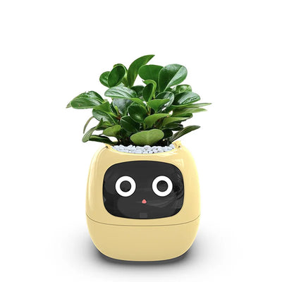 Ivy Smart Planter – AI-Powered with 49+ Expressions & 7 Smart Sensors / وعاء نباتات ذكي Ivy – مدعوم بالذكاء الاصطناعي مع أكثر من 49 تعبيرًا و7 مستشعرات ذكية