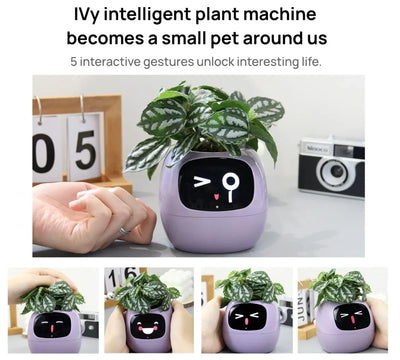 Ivy Smart Planter – AI-Powered with 49+ Expressions & 7 Smart Sensors / وعاء نباتات ذكي Ivy – مدعوم بالذكاء الاصطناعي مع أكثر من 49 تعبيرًا و7 مستشعرات ذكية