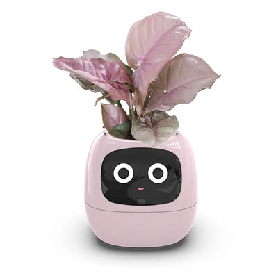 Ivy Smart Planter – AI-Powered with 49+ Expressions & 7 Smart Sensors / وعاء نباتات ذكي Ivy – مدعوم بالذكاء الاصطناعي مع أكثر من 49 تعبيرًا و7 مستشعرات ذكية