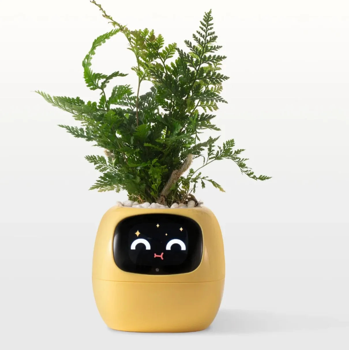 Ivy Smart Planter – AI-Powered with 49+ Expressions & 7 Smart Sensors / وعاء نباتات ذكي Ivy – مدعوم بالذكاء الاصطناعي مع أكثر من 49 تعبيرًا و7 مستشعرات ذكية